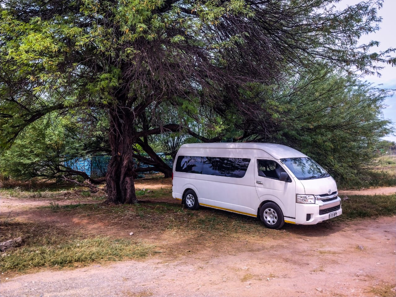 Viaggi's white Toyota Quantum high-roof minibus parked under an acacia tree
